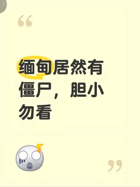 《缅甸僵尸出土事件》高清视频资源下载 - 现场全程录像揭秘缅北神秘事件真相 - 缅甸僵尸出土事件无删减完整版在线免费观看