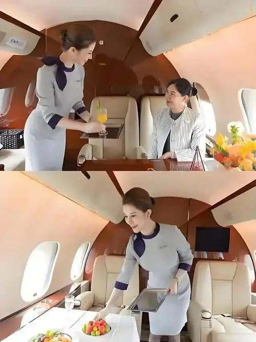 《私人航空/法国航空》高清在线观看-未删减版完整免费播放-私人航空/法国航空无弹窗