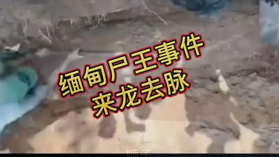 《缅甸僵尸出土事件视频》免费在线观看完整版资源下载 - 缅北僵尸出土事件始末原视频高清未删减全程录像